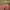 https://res.cloudinary.com/billionhands/image/upload/v1777500026/items/uxl8avvzkryskuqumqop.jpg-3cover
