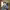 https://res.cloudinary.com/billionhands/image/upload/v1777501846/items/yiudp4pvkgtfvflf0tvl.jpg-0cover