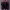 https://res.cloudinary.com/billionhands/image/upload/v1777501848/items/vj5nur3yjnwg9nn0vsdx.jpg-3cover