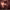 https://res.cloudinary.com/billionhands/image/upload/v1777501858/items/ejik2igdqehu5ahfvbu5.webp-2cover