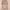 https://res.cloudinary.com/billionhands/image/upload/v1777501860/items/b8u481nninzkyiijuq0f.jpg-2cover