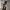 https://res.cloudinary.com/billionhands/image/upload/v1777502737/items/pclgq8bthxpoydgiwpzq.jpg-1cover