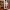 https://res.cloudinary.com/billionhands/image/upload/v1777504613/items/dqoxtktvtssoic2dvhdb.jpg-2cover