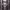 https://res.cloudinary.com/billionhands/image/upload/v1777534041/items/sjkszyyd4dkkyqf2g8bf.jpg-1cover