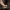 https://res.cloudinary.com/billionhands/image/upload/v1777534044/items/dxtdm58te30m7hdqmnkd.jpg-0cover