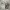 https://res.cloudinary.com/billionhands/image/upload/v1777534044/items/yelh1vdnmfaq6kmdhvpe.jpg-2cover