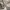 https://res.cloudinary.com/billionhands/image/upload/v1777534392/items/rw2lkztkgked7dxuwiwa.webp-0cover