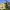 https://res.cloudinary.com/billionhands/image/upload/v1777534393/items/lvlomtlyn1cxhq7afkgd.jpg-2cover