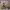 https://res.cloudinary.com/billionhands/image/upload/v1777534415/items/sric7ou44kucb3oifub1.jpg-3cover