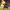 https://res.cloudinary.com/billionhands/image/upload/v1777534541/items/ibbrvgq8ib5hoxlb0fuw.jpg-0cover
