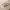 https://res.cloudinary.com/billionhands/image/upload/v1777535522/items/dm49uor3zkl8yjbfziff.jpg-0cover