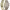 https://res.cloudinary.com/billionhands/image/upload/v1777537624/items/dkbifim8zebcmc9h26nj.webp-2cover
