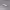 https://res.cloudinary.com/billionhands/image/upload/v1777537931/items/k9hm8bdwgxh8fdguskit.webp-2cover