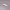 https://res.cloudinary.com/billionhands/image/upload/v1777537935/items/zvdwicmrzz2qexfofbsa.webp-3cover