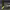 https://res.cloudinary.com/billionhands/image/upload/v1777539308/items/f9nm6p4vdqozv7hprsmd.jpg-0cover