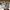 https://res.cloudinary.com/billionhands/image/upload/v1777539431/items/m89ylhvqvkojb0dqd3ph.jpg-3cover