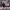 https://res.cloudinary.com/billionhands/image/upload/v1777540273/items/ol50slc5znavz3oecbpt.jpg-3cover