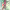 https://res.cloudinary.com/billionhands/image/upload/v1777540973/items/ghi5uonv92xlurjqezz3.webp-0cover