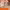 https://res.cloudinary.com/billionhands/image/upload/v1777541083/items/hs9elrqw7dwjytgsxdyb.jpg-2cover