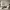 https://res.cloudinary.com/billionhands/image/upload/v1777542159/items/pilnadju5efqzlko7oaw.webp-2cover