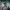 https://res.cloudinary.com/billionhands/image/upload/v1777542194/items/kgvwmel1ltbkvd62gbcr.jpg-2cover