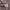 https://res.cloudinary.com/billionhands/image/upload/v1777542208/items/yv43l8ezo92czn1trilv.webp-1cover