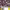 https://res.cloudinary.com/billionhands/image/upload/v1777542620/items/r16wyl5vgpr89z45znow.webp-1cover