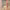 https://res.cloudinary.com/billionhands/image/upload/v1777544555/items/uvcxid64ji5nng4n9gdw.webp-1cover