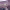 https://res.cloudinary.com/billionhands/image/upload/v1777545894/items/qpbjncr1shvkflt8d0v2.jpg-0cover