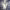 https://res.cloudinary.com/billionhands/image/upload/v1777545906/items/exzfo2xky07qublbdjg5.jpg-1cover