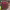 https://res.cloudinary.com/billionhands/image/upload/v1777546398/items/z1cbmiy0zz9vlltto5sv.webp-3cover