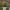 https://res.cloudinary.com/billionhands/image/upload/v1777546400/items/jfdwy9k3omoastvaufeb.jpg-1cover