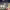 https://res.cloudinary.com/billionhands/image/upload/v1777546521/items/emoeynchepavavg8yvvu.jpg-1cover