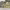 https://res.cloudinary.com/billionhands/image/upload/v1777548142/items/ickgmu4xv5mcy7qywlae.jpg-0cover