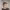 https://res.cloudinary.com/billionhands/image/upload/v1777548264/items/id5nhlshkxo58ygaaxzh.jpg-2cover