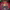 https://res.cloudinary.com/billionhands/image/upload/v1777548588/items/tagz9d4tpoosgoj4rzt0.jpg-2cover