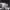 https://res.cloudinary.com/billionhands/image/upload/v1777549018/items/coyr2ck5op8hdftx3idl.jpg-3cover
