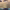 https://res.cloudinary.com/billionhands/image/upload/v1777551766/items/cjbfpcftbsdywuuhwpkp.jpg-1cover