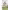 https://res.cloudinary.com/billionhands/image/upload/v1777552894/items/bskrvywputv9cxnsuymk.png-3cover