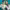 https://res.cloudinary.com/billionhands/image/upload/v1777554025/items/nz78gomh2kbezws91mz1.webp-3cover