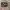 https://res.cloudinary.com/billionhands/image/upload/v1777554281/items/wlsjcejvpx4ojopahuki.jpg-1cover