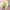 https://res.cloudinary.com/billionhands/image/upload/v1777555705/items/qp9jta9cxvzzcukxb1s8.jpg-3cover
