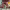 https://res.cloudinary.com/billionhands/image/upload/v1777555713/items/jclhefhvxnahqunmcvx9.png-0cover