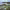 Whale Tail Beach House (Pambula Beach, New South Wales) cover