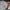 https://res.cloudinary.com/billionhands/image/upload/v1777555823/items/nmllxwkype4xe6vwoyqj.avif-2cover