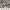 https://res.cloudinary.com/billionhands/image/upload/v1777556310/items/r8i8qb2tfcfvdltcrcee.jpg-3cover