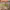 https://res.cloudinary.com/billionhands/image/upload/v1777556328/items/mgiynyq2bd0g686hyax0.jpg-1cover