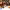 https://res.cloudinary.com/billionhands/image/upload/v1777559719/items/ui28qegbk0vytcwm9xmr.jpg-3cover