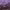 https://res.cloudinary.com/billionhands/image/upload/v1777561151/items/dbnsdzjpzpsnopv946xk.jpg-1cover
