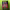https://res.cloudinary.com/billionhands/image/upload/v1777561470/items/hnvqtyixcf16mmblwpen.webp-0cover
